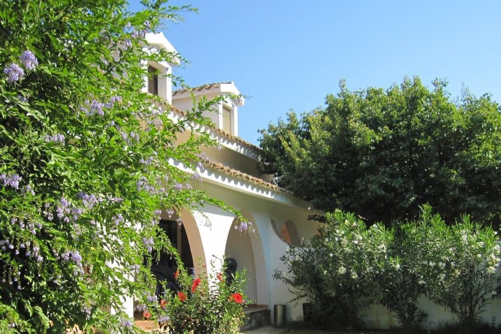 Villa Acquario Torre delle Stelle Eksteriør bilde